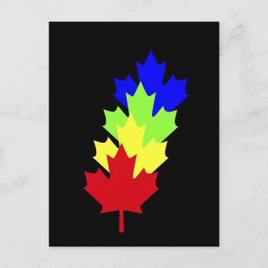 Maple Leaves - Canada Briefkaart (Voorkant)