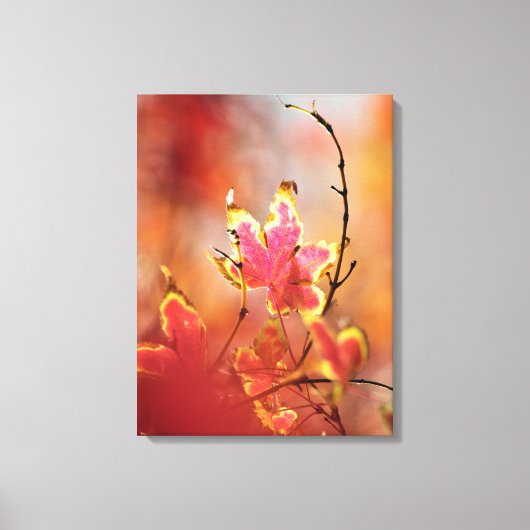Maple Leaves Canvas Afdruk (Voorkant)