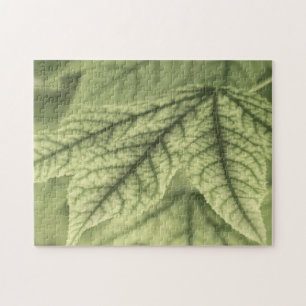 Maple Leaves Legpuzzel