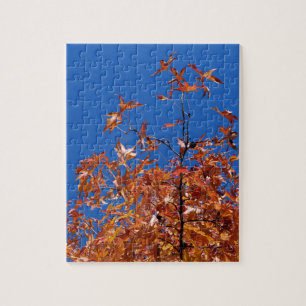 Maple Leaves Legpuzzel