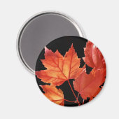 Maple Leaves Magneet (Voorkant / Achterkant)