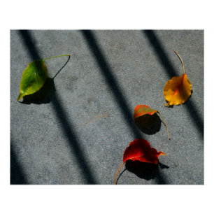 Maple Leaves Perfect Poster