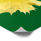 Maple Leaves Poster (Hoek)