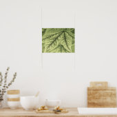 Maple Leaves Poster (Keuken)