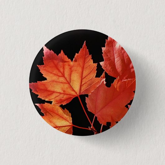 Maple Leaves Ronde Button 3,2 Cm (Voorkant)