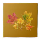 Maple Leaves Tegeltje (Voorkant)