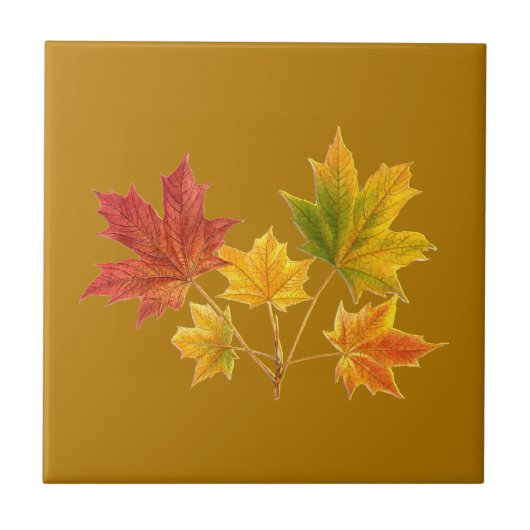 Maple Leaves Tegeltje (Voorkant)