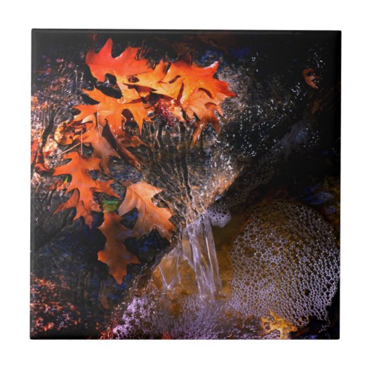 Maple Leaves Tegeltje (Voorkant)