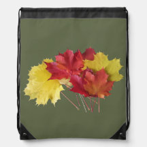 Maple Leaves
