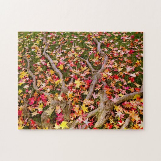 Maple Leavs Legpuzzel (Horizontaal)