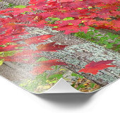 Maple lekt in najaarse fotoafdrukken foto afdruk (Hoek)