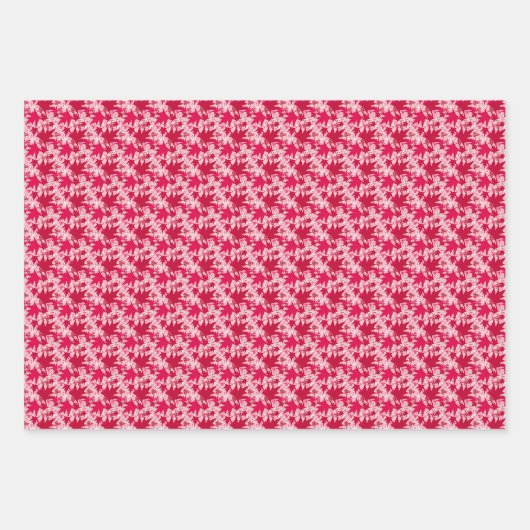 Maple lekt op een roze achtergrond inpakpapier vel (Voorkant)