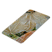 Maple Magnet, bevroren Magneet (Linkerzijde)