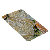 Maple Magnet, bevroren Magneet (Rechterzijde)