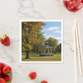 Maple Park Autumn Gazebo Servet (Insitu)