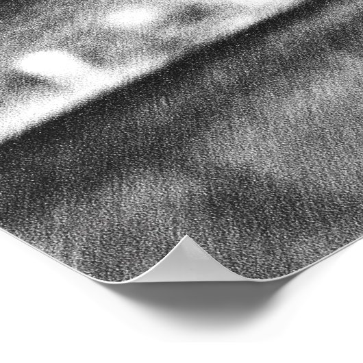 Maple Sap Bucket Black Pencil Poster (Hoek)