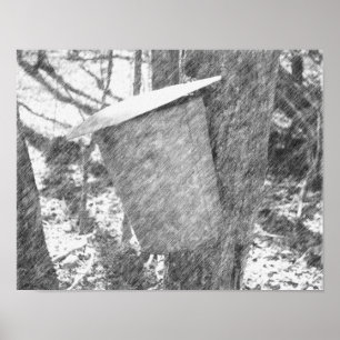 Maple Sap Bucket met Tree Black Pencil Art Poster