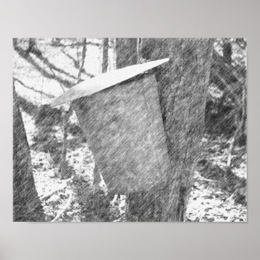 Maple Sap Bucket met Tree Black Pencil Art Poster (Voorkant)