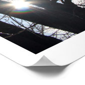 Maple Sky Poster (Hoek)