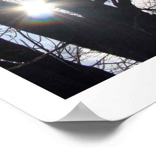 Maple Sky Poster (Hoek)