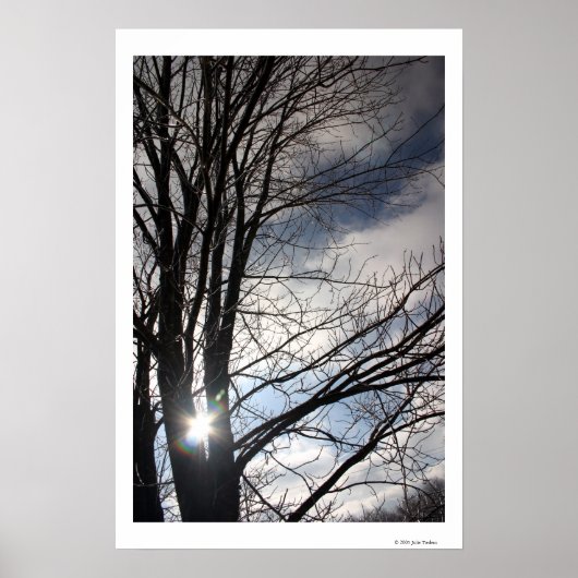 Maple Sky Poster (Voorkant)