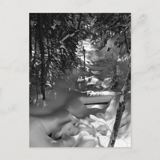 Maple Spring Briefkaart - 1 (Voorkant)