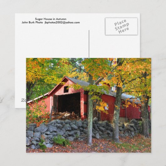 Maple Sugar House in het najaar Briefkaart (Voorkant / Achterkant)