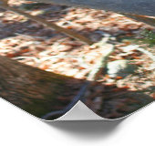 Maple Sugar Sap Bucket on Tree Natuur Poster (Hoek)