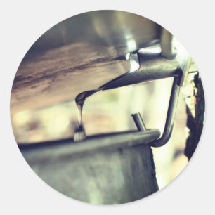 Maple Syrup Sap Running Natuur Ronde Sticker