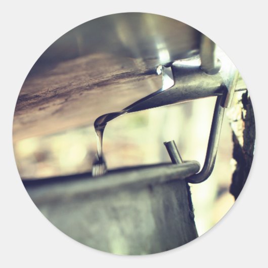 Maple Syrup Sap Running Natuur Ronde Sticker (Voorkant)