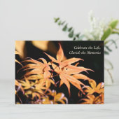 Maple Tree 1 Celebration of Life Memorial Service Kaart (Staand voorkant)