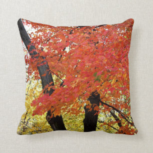 Maple Tree Autumn Kussen