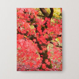 Maple Tree Badge Button