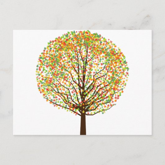 Maple Tree Briefkaart (Voorkant)
