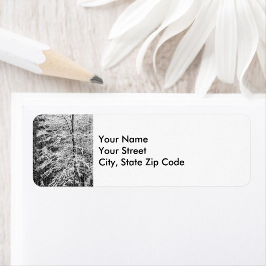 Maple Tree omlijnd in Sneeuw adreslabel Etiket (Insitu)