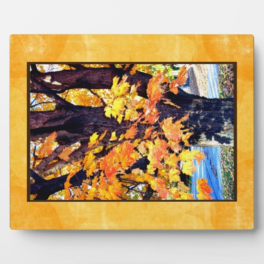 Maple Tree Plaque Fotoplaat (Voorkant)