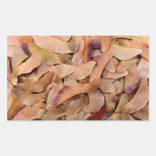 maple tree seed textuur patroon natuur achtergrond rechthoekige sticker (Voorkant)