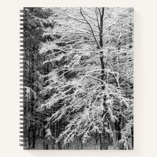 Maple Tree wordt beschreven in Snow Journal Notitieboek (Voorkant)