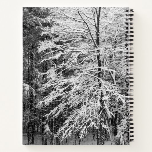 Maple Tree wordt beschreven in Snow Journal Notitieboek (Achterkant)