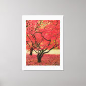 Maple Trees Canvas Print (Voorkant)