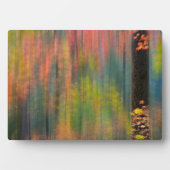 Maple Trees | State Park Silver Herfsten Fotoplaat (voorkant)