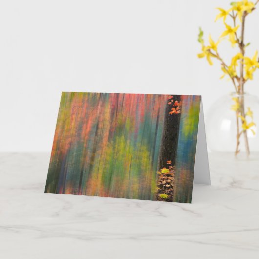 Maple Trees | State Park Silver Herfsten Kaart (Gele Bloem)