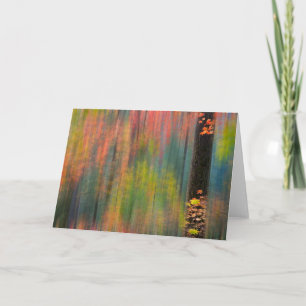 Maple Trees   State Park Silver Herfsten Kaart