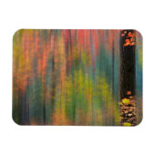 Maple Trees | State Park Silver Herfsten Magneet (Horizontaal)