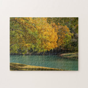Maple Umbrella over Dogwood Creek Legpuzzel