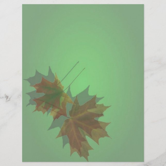 Maple Verlof Letterhead (Voorkant)