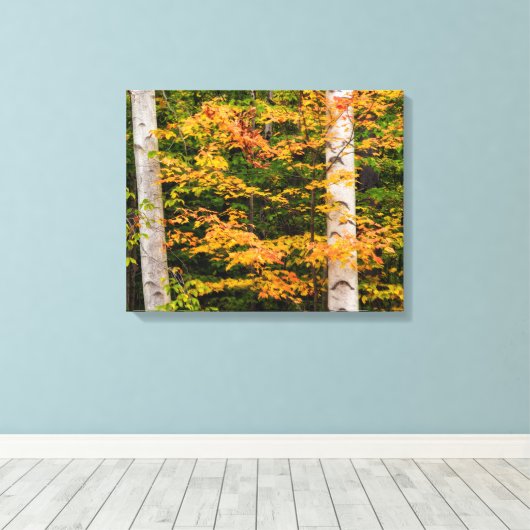 Maple & White Birch | Witte bergen, NH Canvas Afdruk (Insitu (Houten vloer))
