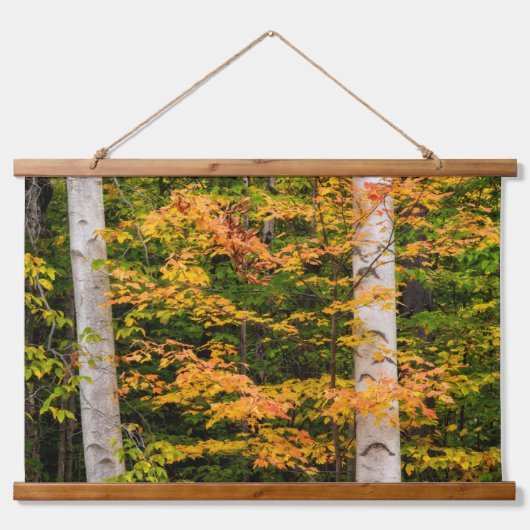 Maple & White Birch | Witte bergen, NH Hangend Wandkleed (Voorkant)