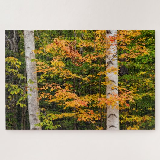 Maple & White Birch | Witte bergen, NH Legpuzzel (Horizontaal)