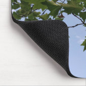 Mapleboom Muismat (Hoek)